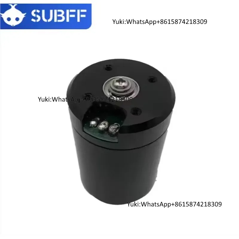 Brushless Motor - Motor Sumergible de 24V y 9kg