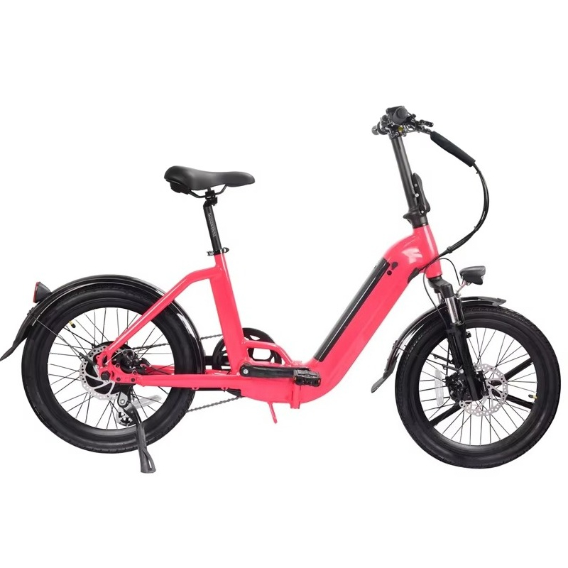 Bicicleta Eléctrica Plegable P - Brushless Motor reseña y precio