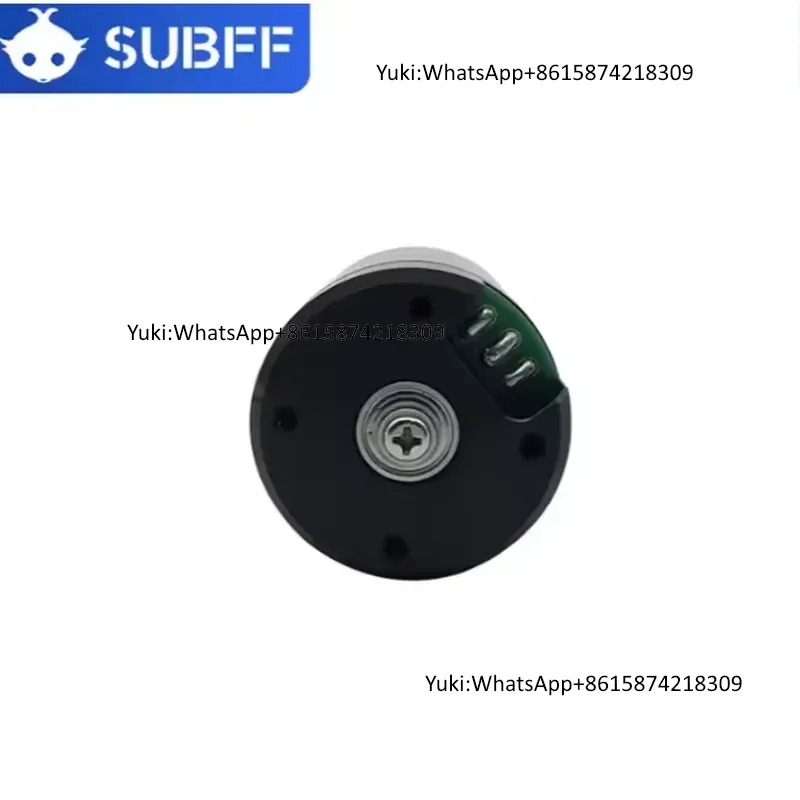 Motor Sumergible de 24V y 9kg  - Brushless Motor reseña y precio