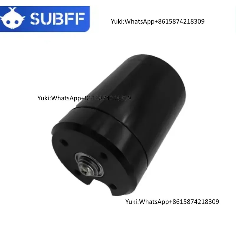 Motor Sumergible de 24V y 9kg  - Brushless Motor reseña y precio
